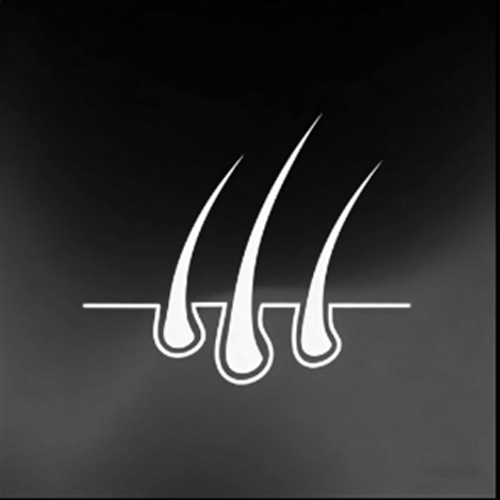 Implanted Hair / Synthetic [+$  102]